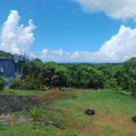 Rooster Run Glamping Camping Has Rooftop And Off The Ground Glamping Experience For 1 To 16 In A Single Tent And Views Of The Rain Forrest And To Culebra Across The Atlantic Ocean W Tents, Linens, Deluxe Air Beds, Warm Shower And More At A Great Pric Vieques Bagian luar foto