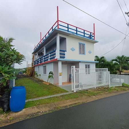 Rooster Run Glamping Camping Has Rooftop And Off The Ground Glamping Experience For 1 To 16 In A Single Tent And Views Of The Rain Forrest And To Culebra Across The Atlantic Ocean W Tents, Linens, Deluxe Air Beds, Warm Shower And More At A Great Pric Vieques Bagian luar foto