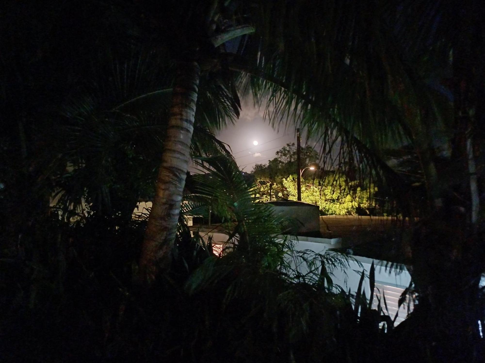 Rooster Run Glamping Camping Has Rooftop And Off The Ground Glamping Experience For 1 To 16 In A Single Tent And Views Of The Rain Forrest And To Culebra Across The Atlantic Ocean W Tents, Linens, Deluxe Air Beds, Warm Shower And More At A Great Pric Vieques Bagian luar foto