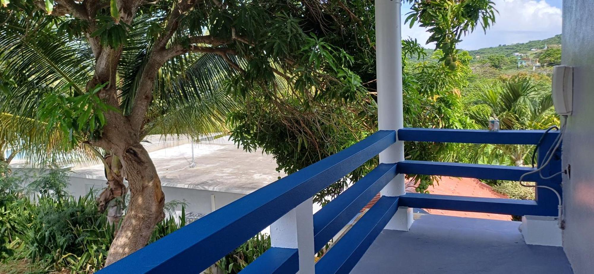 Rooster Run Glamping Camping Has Rooftop And Off The Ground Glamping Experience For 1 To 16 In A Single Tent And Views Of The Rain Forrest And To Culebra Across The Atlantic Ocean W Tents, Linens, Deluxe Air Beds, Warm Shower And More At A Great Pric Vieques Bagian luar foto