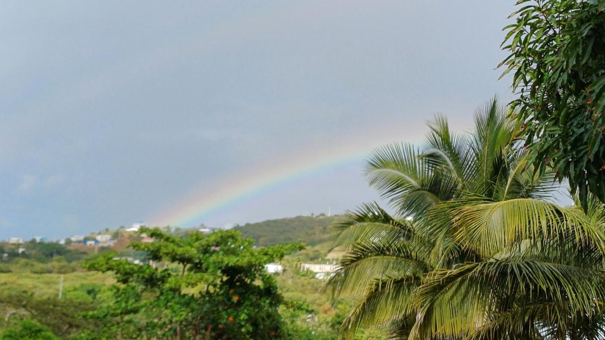 Rooster Run Glamping Camping Has Rooftop And Off The Ground Glamping Experience For 1 To 16 In A Single Tent And Views Of The Rain Forrest And To Culebra Across The Atlantic Ocean W Tents, Linens, Deluxe Air Beds, Warm Shower And More At A Great Pric Vieques Bagian luar foto