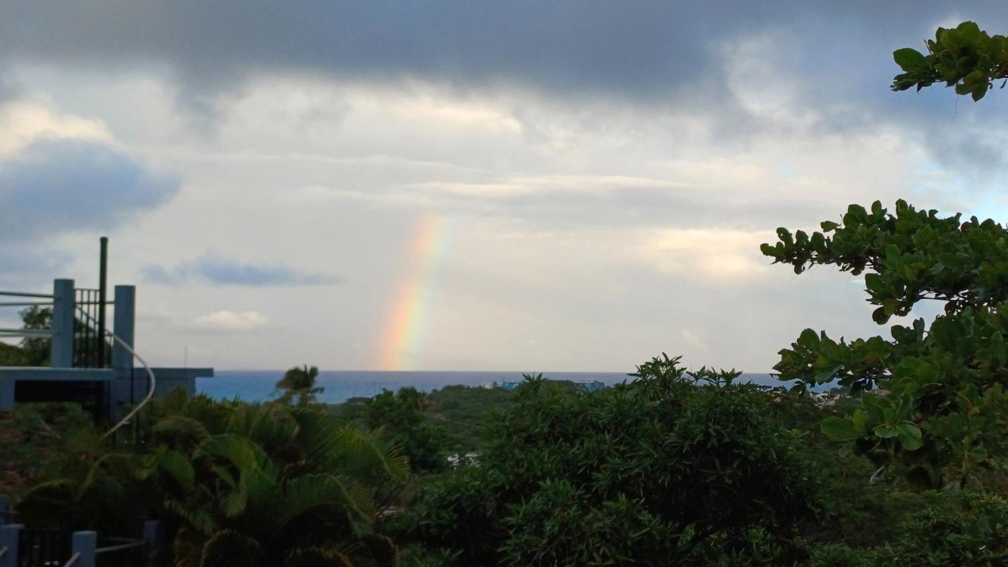 Rooster Run Glamping Camping Has Rooftop And Off The Ground Glamping Experience For 1 To 16 In A Single Tent And Views Of The Rain Forrest And To Culebra Across The Atlantic Ocean W Tents, Linens, Deluxe Air Beds, Warm Shower And More At A Great Pric Vieques Bagian luar foto
