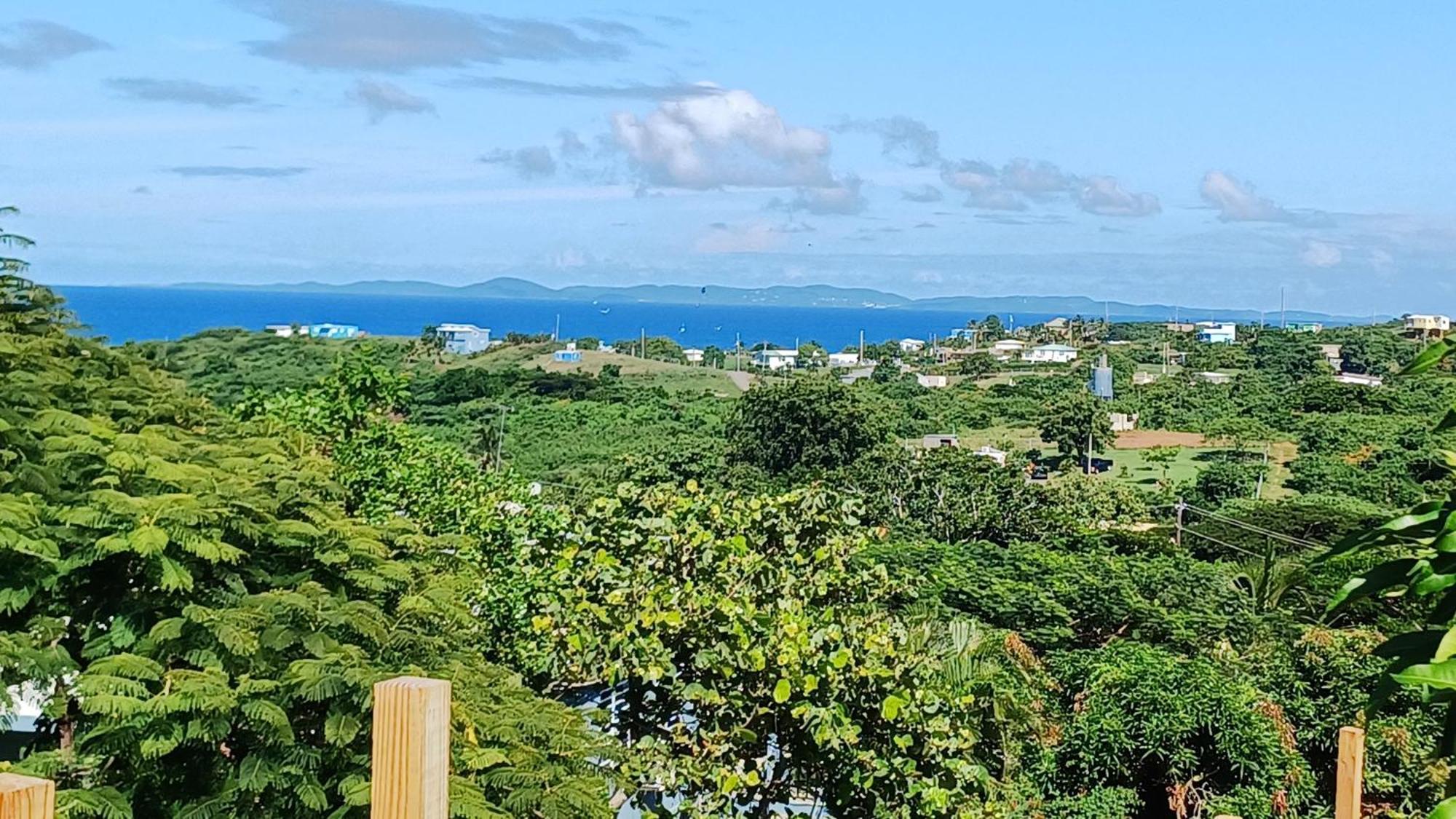 Rooster Run Glamping Camping Has Rooftop And Off The Ground Glamping Experience For 1 To 16 In A Single Tent And Views Of The Rain Forrest And To Culebra Across The Atlantic Ocean W Tents, Linens, Deluxe Air Beds, Warm Shower And More At A Great Pric Vieques Bagian luar foto